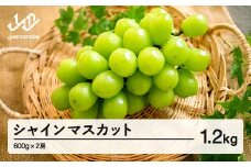 《先行予約》ぶどう シャインマスカット 秀品 2房（約600g×2）令和7年産 2025年産 山形県産 果物 送料無料 ns-busmx1200 ※沖縄・離島への配送不可