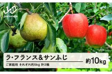 【先行予約】ラ・フランス サンふじ セット ご家庭用 約10kg 各約5kg 各1箱 計2箱 洋梨 りんご 2025年産 山形県産 ※沖縄・離島への配送不可 送料無料 tf-fslrx5