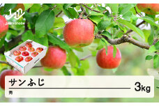 【先行予約】りんご サンふじ 約3kg 秀品 リンゴ 林檎 令和7年産 2025年産 果物 山形県産 mm-risfs3