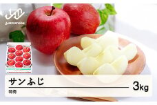 【先行予約】りんご サンふじ 約3kg 特秀品 リンゴ 林檎 令和7年産 2025年産 果物 山形県産 mm-risft3
