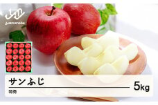 【先行予約】りんご サンふじ 約5kg 特秀品 リンゴ 林檎 令和7年産 2025年産 果物 山形県産 mm-risft5