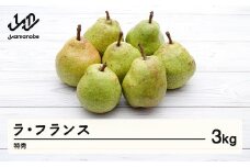 ラ・フランス 洋梨 ラフランス 3kg 特秀品 贈答 令和7年産 2025年産 果物 mm-latsx3