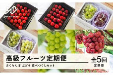 【ふるさと納税】「高級フルーツ定期便5回」さくらんぼ＆ぶどう 食べつくしセット 令和7年産 2025年産 山形県山辺町産 フルーツ 果物 bg-ftsbx5