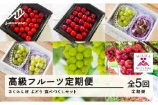 【ふるさと納税】「高級フルーツ定期便5回」さくらんぼ＆ぶどう 食べつくしセット 令和7年産 2025年産 山形県山辺町産 フルーツ 果物 bg-ftsbx5