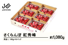 【ふるさと納税】先行予約 さくらんぼ 紅秀峰 秀品 L 約1080g 令和7年産 2025年産 山形県産 フルーツ 果物 tf-bspsl1080