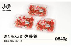 【ふるさと納税】先行予約 さくらんぼ 佐藤錦 秀品 L 約540g 令和7年産 2025年産 山形県産 フルーツ 果物 tf-snpsl540