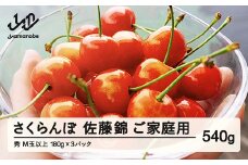 【ふるさと納税】【先行予約】 ご家庭用 さくらんぼ 佐藤錦 秀品 M玉以上 約540g 令和8年産 2026年産 山形県産 フルーツ 果物 tf-snpsm540