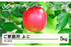 《先行予約》2025年 山形県産  ふじ りんご ご家庭用 5kg（12玉~20玉程度） ※沖縄・離島への配送不可 sa-risfk5