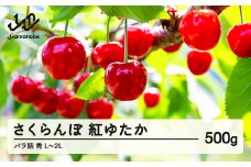 《先行予約》2025年 山形県産 さくらんぼ 紅ゆたか バラ詰 500g 秀 L ~ 2L サクランボ フルーツ 果物 tj-byslb500