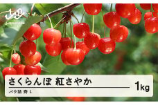 先行予約 さくらんぼ 紅さやか 秀 L 1kg バラ詰め 令和7年産 2025年産 山形県山辺町産 フルーツ 果物 sa-sybsl1000