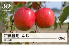 《先行予約》2025年 山形県産 ご家庭用 ふじ りんご 5kg（10～20個）  2025年11月下旬頃から順次発送 tj-risfk5 ※沖縄・離島への配送不可