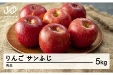 《先行予約》2025年 山形県産 サンふじ りんご 5kg（15玉程度） 秀品  ※沖縄・離島への配送不可 sa-risfs5-b
