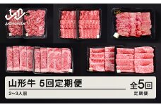 山形牛 5回 定期便 2~3人前   すき焼き  焼肉  肩ロース バラ切り落とし  カルビ モモ  tf-tkygx1560
