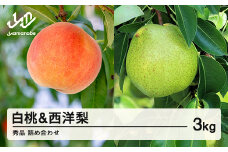 《先行予約》2025年 山形県産 白桃 & 西洋梨 詰め合わせ 秀品 品種おまかせ  もも 約3kg  令和7年産 ※沖縄・離島への配送不可 ns-fshyx3