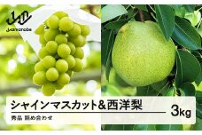 《先行予約》シャインマスカット 秀品 & 西洋梨 詰め合わせ 3kg 令和7年産 2025年産 果物 梨 洋梨 ※沖縄・離島への配送不可　ns-fssyx3