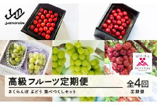 高級フルーツ定期便4回 山形県山辺町産 さくらんぼ＆ぶどう 食べつくしセット 令和7年産 2025年産 山形県山辺町産 フルーツ 果物 さくらんぼ ぶどう シャインマスカット   bg-ftsbx4 