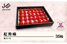 ≪先行予約≫ 贈答用 2025年 山形県産 さくらんぼ 紅秀峰 極 35粒 2L～3L 化粧箱詰め bg-bski35