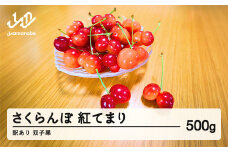 2025年 山形県産　さくらんぼ　訳あり 双子果  紅てまり  500g  sn-btwxx500