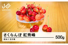 2025年 山形県産　さくらんぼ　訳あり 双子果 紅秀峰 500g sn-bswxx500