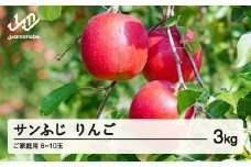 先行予約  ご家庭用 2025年 令和7年産 山形県産 ご家庭用 サンふじ りんご 3kg(6~10玉) yf-risfk3 ※沖縄・離島への配送不可 
