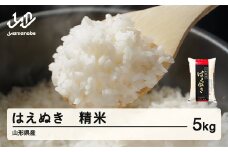 ＜先行予約＞新米 米 はえぬき 精米 5kg 令和7年産 2025年産 山形県産 tf-hasxb5-11s