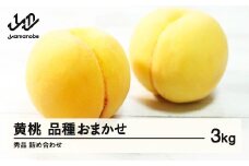 《先行予約》有袋黄桃 秀品 品種おまかせ 化粧箱入り 約3kg 令和7年産 2025年産 山形県産 果物 ※沖縄・離島への配送不可 ns-mootx3