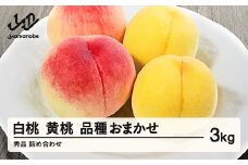 《先行予約》白桃＆有袋黄桃 秀品 品種おまかせ 化粧箱入り 約3kg 令和七年産 2025年産 山形県産 果物 ※沖縄・離島への配送不可 ns-mohot3