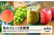 先行予約 フルーツ定期便 全4回  白桃  ぶどう シャインマスカット ラフランス ラ・フランス りんご サンふじ シナノゴールド 果物 2025年産 令和7年産 ns-ft4xx