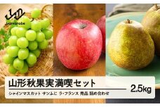 《先行予約》2025年 山形県産 山形秋果実満喫セット シャインマスカット サンふじ ラ・フランス 秀品 詰め合わせ 2.5kg 化粧箱入り 令和7年産 ※沖縄・離島への配送不可 ns-fsrls2500