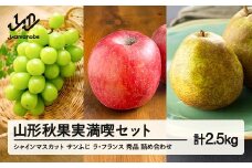 《先行予約》2025年 山形県産 山形秋果実満喫セット シャインマスカット サンふじ ラ・フランス 秀品 詰め合わせ 2.5kg 化粧箱入り 令和7年産 ※沖縄・離島への配送不可 ns-fsrls2500