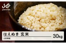 《先行予約》山形県産 はえぬき 玄米 30kg 令和7年産 2025年産 11月上旬から順次発送 お米 米 ブランド米 こめ wn-hagxb30 ※沖縄・離島への配送不可