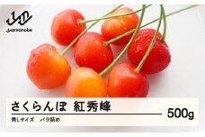 《先行予約》 さくらんぼ 紅秀峰 秀Lサイズ 500g バラ詰め 2026年産 令和8年産 山形県産 ns-bsslb500