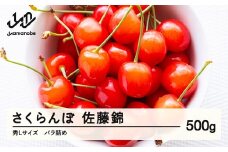 《先行予約》 さくらんぼ 佐藤錦 秀Lサイズ プレゼント ギフト バラ詰め 500g 2026年産 令和8年産 山形県産 ns-snslb500