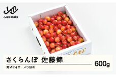 《先行予約》 さくらんぼ 佐藤錦 秀Mサイズ バラ詰め 600g (600g×1箱) 2026年産 令和8年産 山形県産 ふるさと納税 果物 くだもの フルーツ 特産 産地 直送 送料無料 東北 山形県産 ns-snsmb600