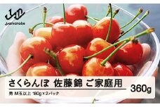 【先行予約】 ご家庭用 さくらんぼ 佐藤錦 秀品 M玉以上 約360g 令和8年産 2026年産 山形県産 フルーツ 果物 tf-snpsm360