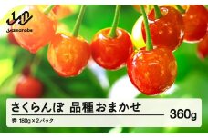 【先行予約】 さくらんぼ 品種おまかせ 秀品 約360g 令和8年産 2026年産 山形県産 フルーツ 果物 tf-saos360