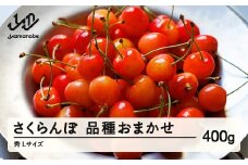 先行予約 さくらんぼ 品種おまかせ 秀品 L玉 400g 2026年産 令和8年産 山形県産 mm-saosx400