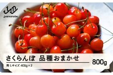 先行予約 さくらんぼ 品種おまかせ 秀品 L玉 400g×2 2026年産 令和8年産 山形県産 mm-saosx800