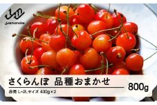 先行予約 さくらんぼ 品種おまかせ 赤秀品 ご家庭用 L-2L玉 400g×2 2026年産 令和8年産 山形県産 mm-saoax800