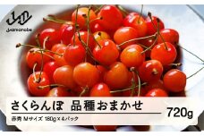 【先行予約】 さくらんぼ 品種おまかせ 赤秀品 M玉 180g×4パック ご家庭用 2026年産 令和8年産 山形県産 mm-saoam720