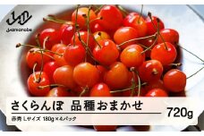 【先行予約】 さくらんぼ 品種おまかせ 赤秀品 L玉 180g×4パック ご家庭用 2026年産 令和8年産 山形県産 mm-saoal720
