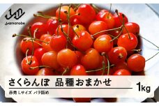 【先行予約】 さくらんぼ 品種おまかせ 赤秀 L玉 1kg バラ詰 ご家庭用 2026年産 令和8年産 山形県産 mm-saoal1000