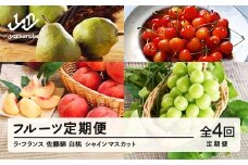 【先行予約】【秋始まり】フルーツ 定期便 全4回 2025年産秋始まり ラ・フランス さくらんぼ 佐藤錦 もも 白桃 ぶどう シャインマスカット 果物 山形県産 送料無料 ※沖縄・離島への配送不可 mm-ft4yz