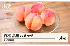 【先行予約】もも 白桃 品種おまかせ 約1.4kg 令和8年産 2026年産 山形県産 果物 送料無料 mm-mokox1400 ※沖縄・離島への配送不可