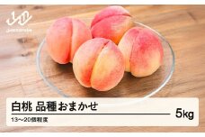 【先行予約】もも 白桃 品種おまかせ 約5kg 令和8年産 2026年産 山形県産 果物 送料無料 mm-mokox5000 ※沖縄・離島への配送不可