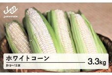 《先行予約》2026年 山形県産 ホワイトコーン ピュアホワイト 3.3kg(9～13本）生で味わう 白とうもろこし トウモロコシ コーン 夏 野菜 やさい ※沖縄・離島への配送不可 ot-cnwwx3300