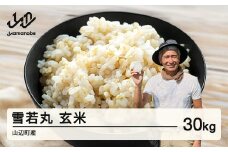 《先行予約》新米 米 雪若丸 玄米 30kg 2025産 令和7年産 山辺町産 2025年11月中旬から順次発送 お米 米 ブランド米 こめ os-ywgxa30 ※沖縄・離島への配送不可