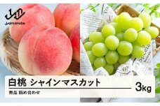 《先行予約》シャインマスカット 秀品 & 白桃 詰め合わせ 3kg 令和8年産 2026年産 果物 桃 白桃 ※沖縄・離島への配送不可 ns-fshsx3