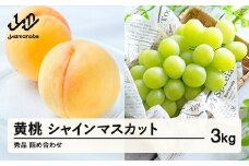 《先行予約》シャインマスカット 秀品 & 有袋黄桃 詰め合わせ 3kg 令和8年産 2026年産 果物 桃 白桃 ※沖縄・離島への配送不可 ns-fsosx3