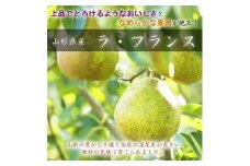 【令和7年産先行受付】中山町産 大粒　ラ・フランス 3kg　特秀品